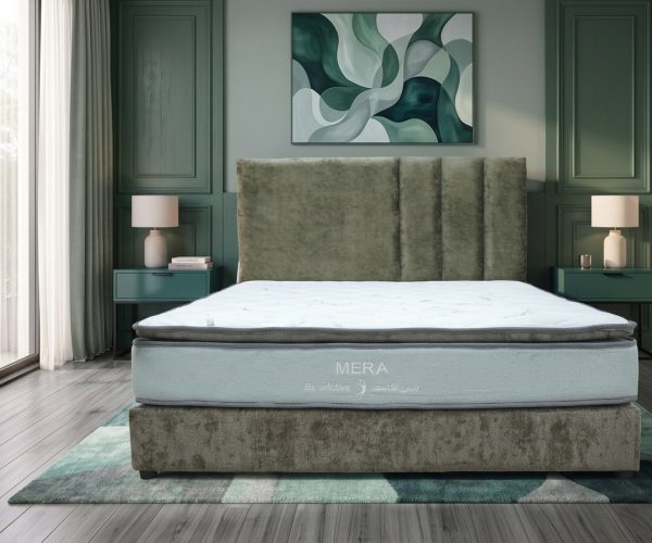 Matching_room_decor_to_bed_202608231551