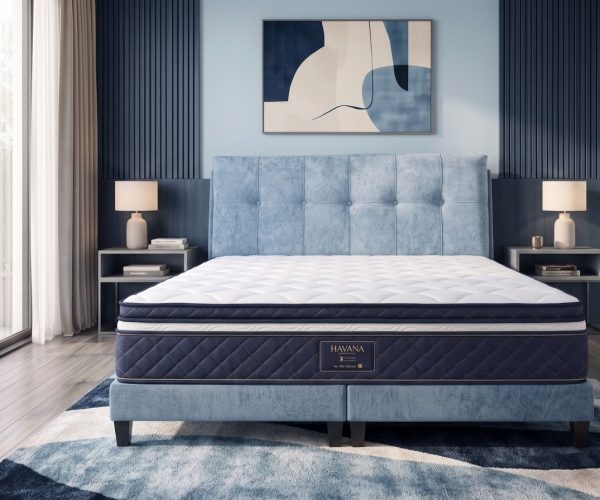 Redecorating_room_to_match_bed_202608231614
